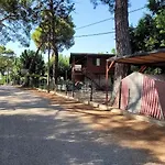 Cirali Camping 펜션 *