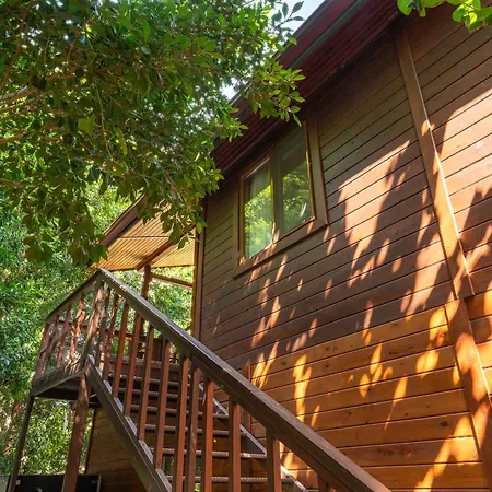펜션 Cirali Camping Çıralı
