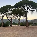 Cirali Camping *
