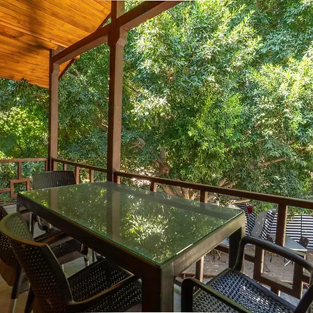 Cirali Camping * Çıralı