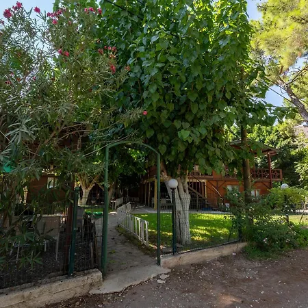 Hébergement de vacances Cirali Camping Çıralı