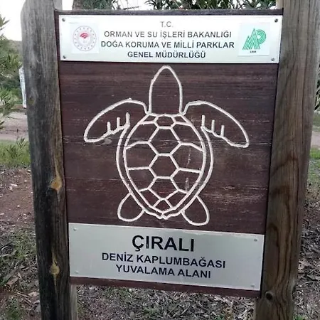 Cirali Camping 度假居 Çıralı