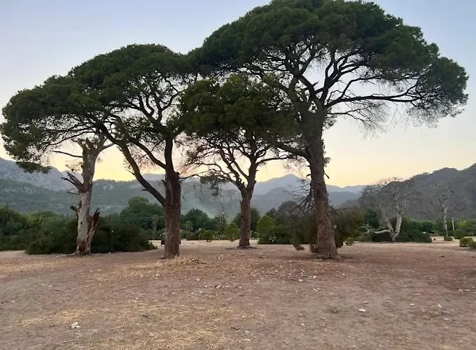 Cirali Camping *