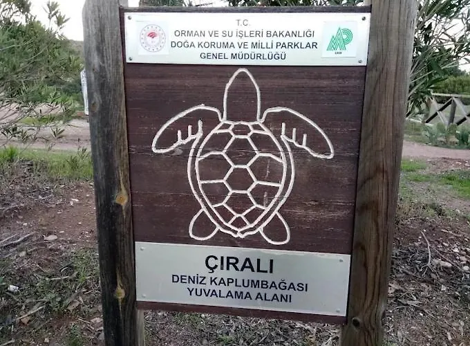 Cirali Camping Дом отдыха Чирали